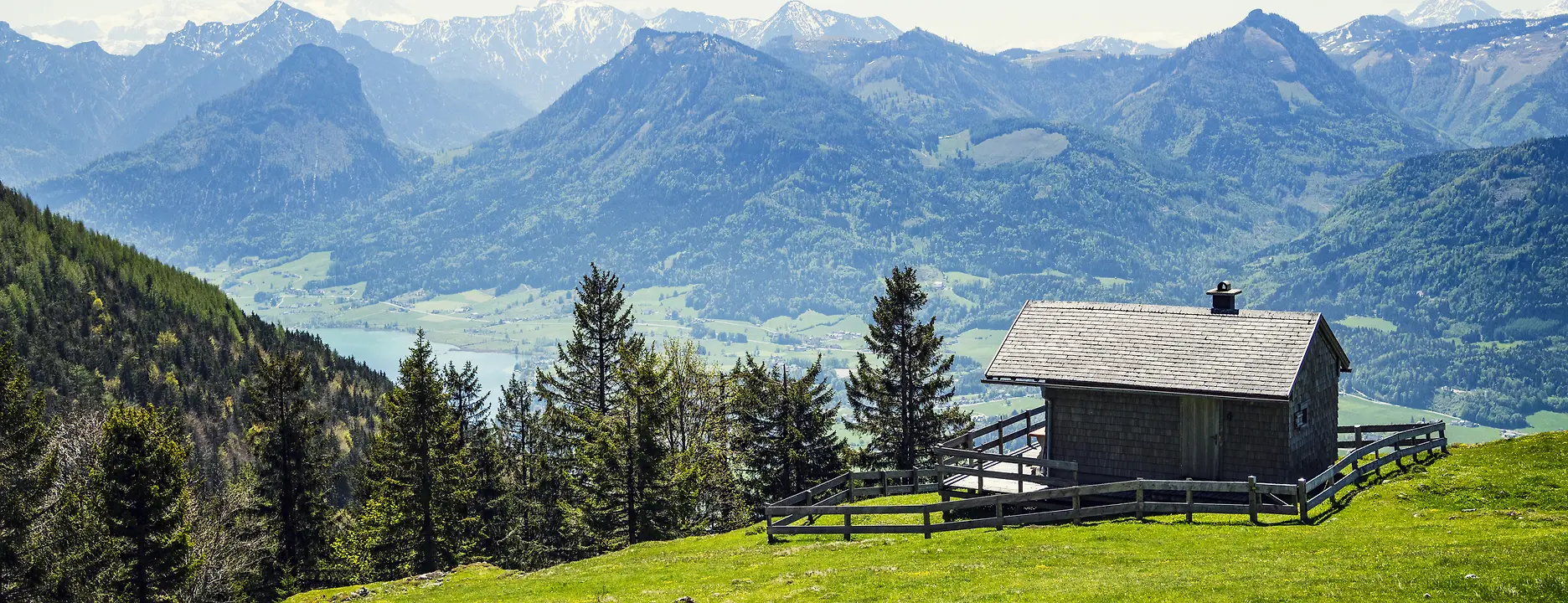 Solitary alpine cabin on a green mountain meadow with majestic alpine mountain range in the background, surrounded by pine and spruce trees.