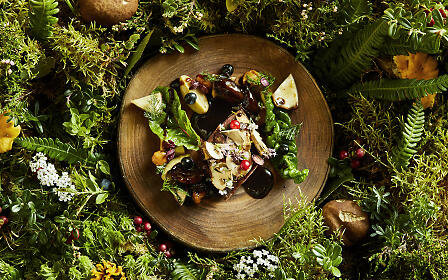 Amid lush forest greenery, the Rauchkuchl presents an artfully crafted game dish on a rustic wooden plate. Mushrooms, berries, herbs, and blossoms blend into a culinary homage to nature — opulent, wild, and full of aroma.