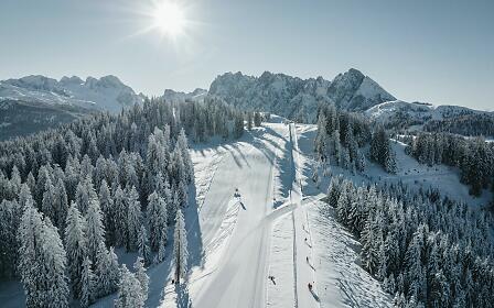 Ein sonniger Wintertag auf der perfekt präparierten Skipiste inmitten verschneiter Tannen und majestätischer Alpen. Skifahrer gleiten den Hang hinab, während der Sessellift sie bergauf bringt – ein Panorama voller Winterzauber.