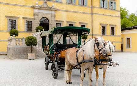 Horse and cart in front of Hellbrunn Palace in Salzburg in fine weather