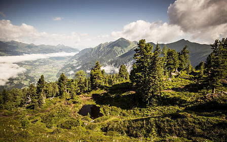 Blick auf eine grüne Berglandschaft mit dichten Nadelbaumwäldern, durchzogen von Nebelschwaden und weiten Bergketten im Hintergrund.