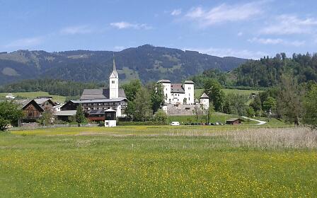 Seewiese See Goldegg im Frühling