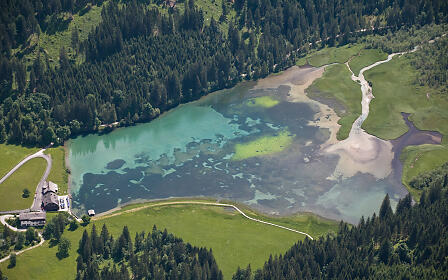 Türkisfarbener Bergsee umgeben von dichten Nadelbaumwäldern und grünen Wiesen in alpiner Landschaft.