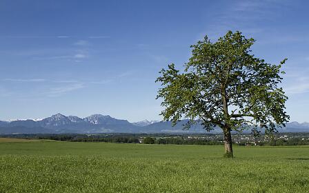 Salzburg Mayrwies