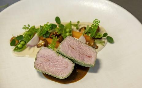 At Merkel & Merkel, tender pink-roasted meat in a herb crust is served with a rich dark jus. Accompanied by root vegetables, peas, mushrooms, and a delicate cream – finely decorated with microgreens on elegant porcelain. Meat dish at Merkel & Merkel with jus, vegetables, herb crust, and delicate garnish.