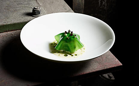 Auf einem weißen Teller thront eine kunstvoll gefaltete grüne Pasta in cremiger Sauce. Feine Öltropfen und Mikrokräuter setzen elegante Akzente. Das industrielle Umfeld bildet einen spannenden Kontrast zur filigranen Gourmetkomposition. Grüne Gourmet-Pasta auf weißem Teller mit Sauce und Kräutern vor industriellem Hintergrund.