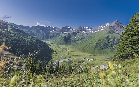 Gastein Sommer