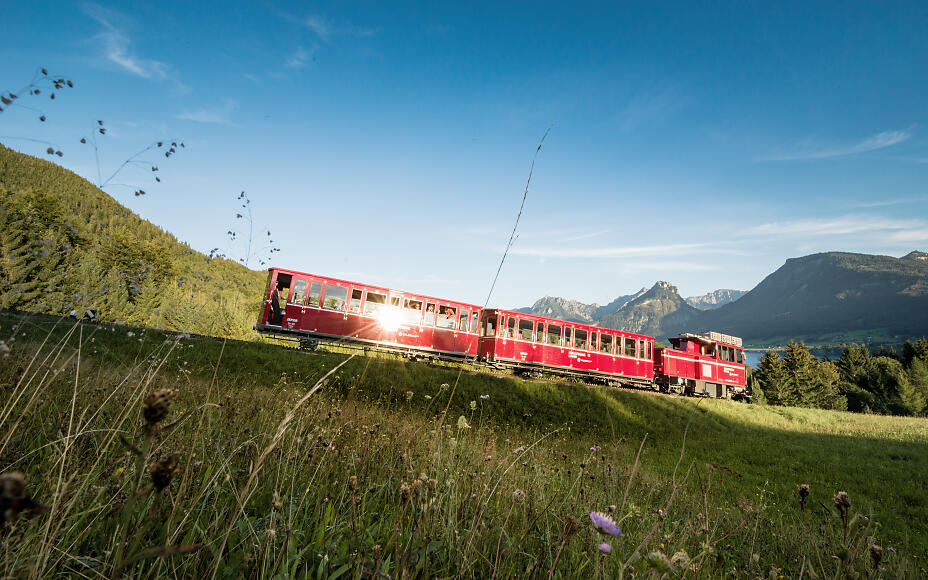 SchafbergBahn am Weg zum Gipfel
