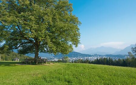 Blick auf die Stadt Salzburg von Maria Plain im Flachgau